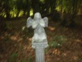 /album/fotogalerie-das-erste-tunier-am-07-07-2012/a425542-398584183523130-917611259-n-jpg/