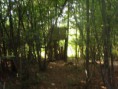 /album/fotogalerie-das-erste-tunier-am-07-07-2012/a483286-398584206856461-1001313409-n-jpg/