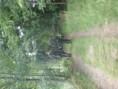 /album/fotogalerie-das-erste-tunier-am-07-07-2012/a541380-398584143523134-1913384340-n-jpg/
